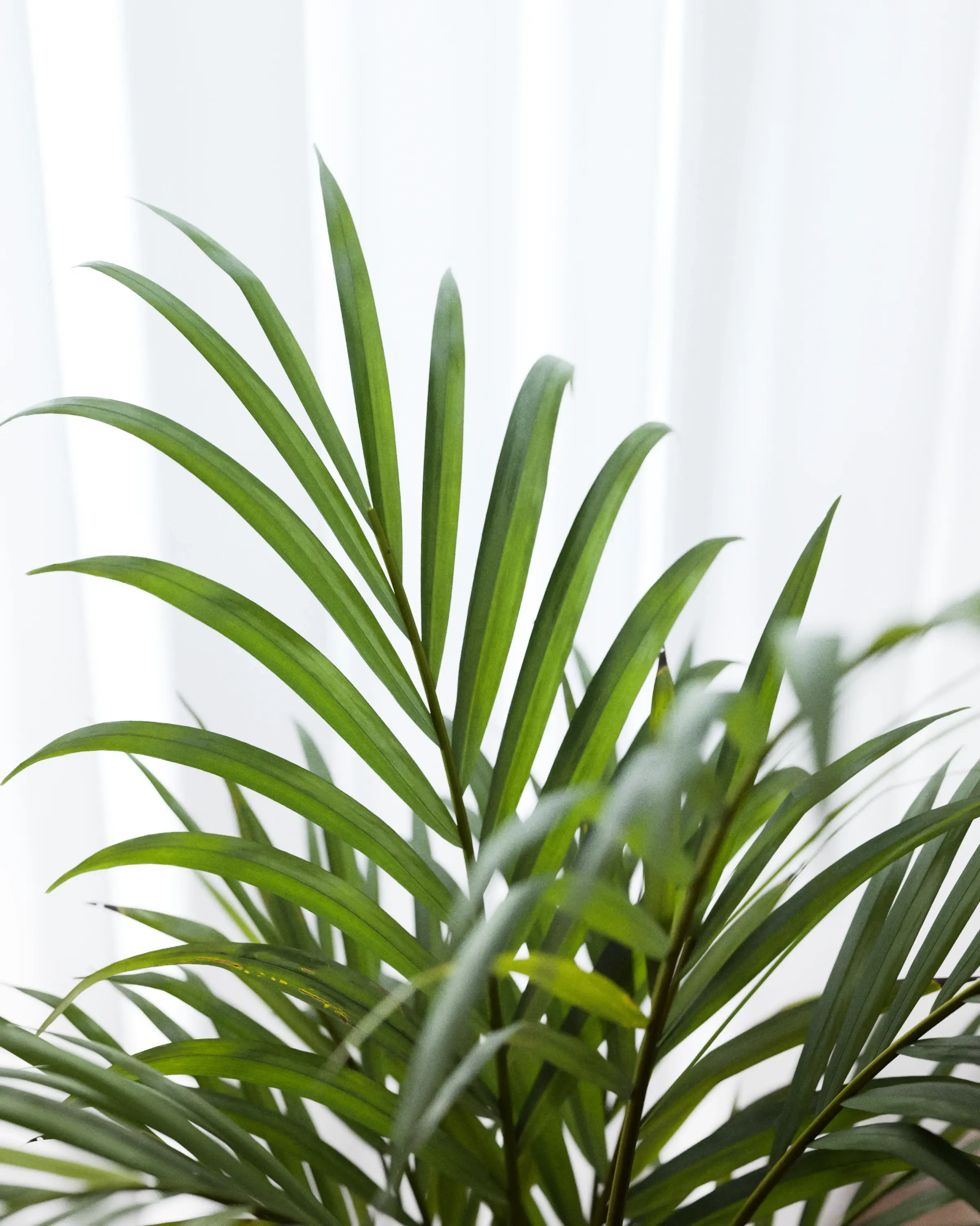 Modern Bedroom Workspace